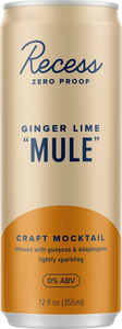 Recess Ginger Lime Mule Mocktail