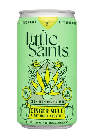 Little Saints - Mule