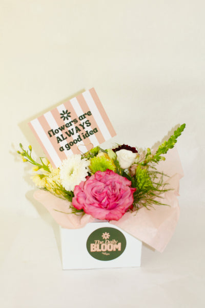 The Daily Bloom