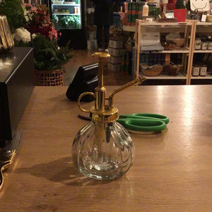 Plant Mister Gold