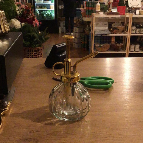 Plant Mister Gold