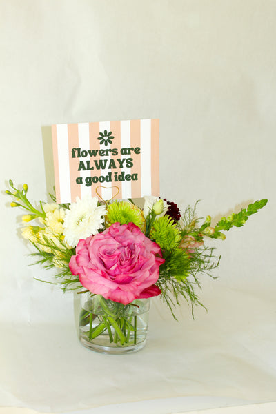 The Daily Bloom