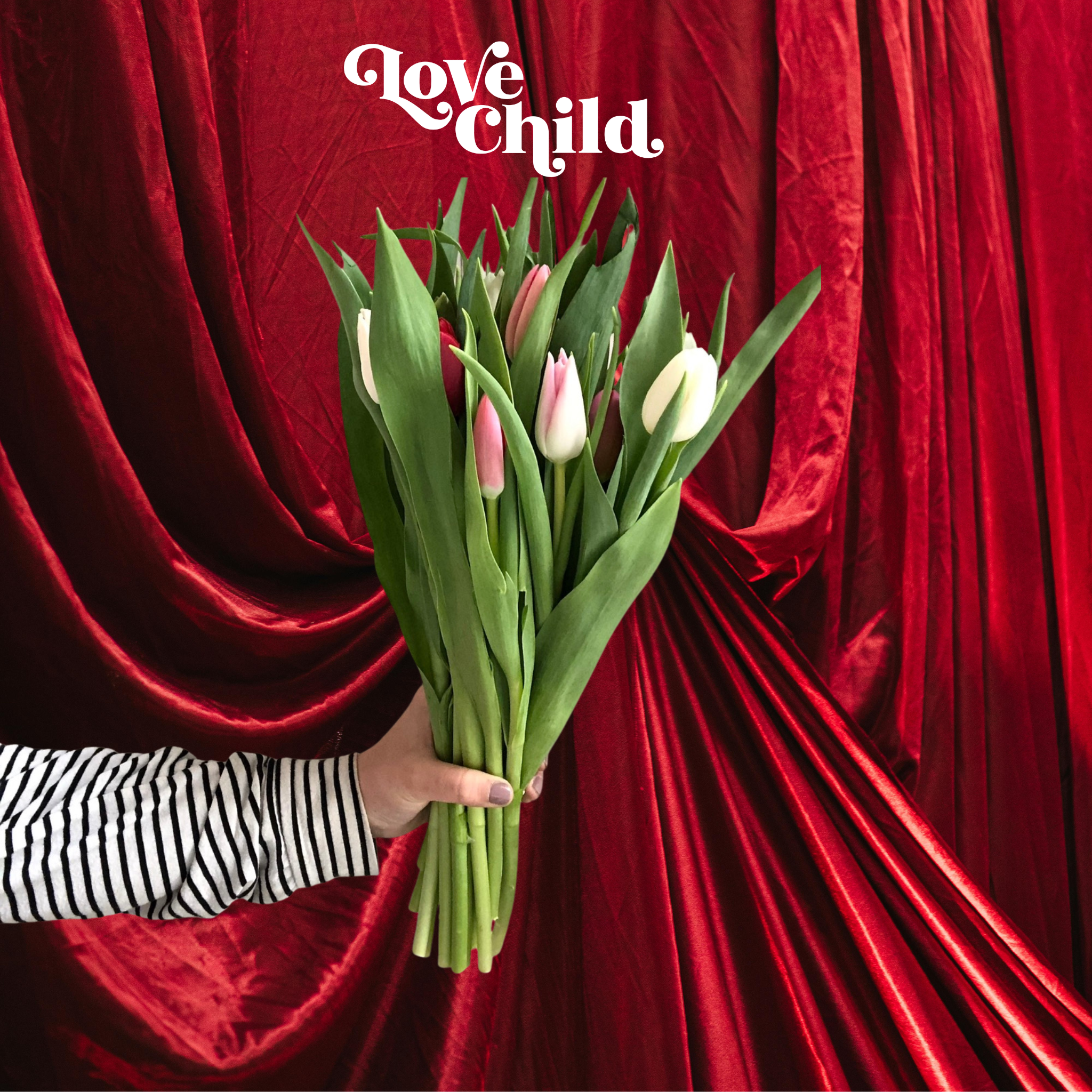 10-stem Tulip Bundle-PICKUP ONLY