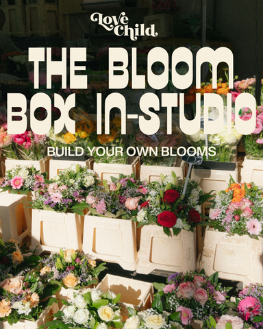 The Bloom Box- In-studio Experience