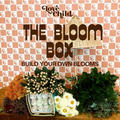 Advertisement for 'The Bloom Box' with flowers and plants on a checkered background.