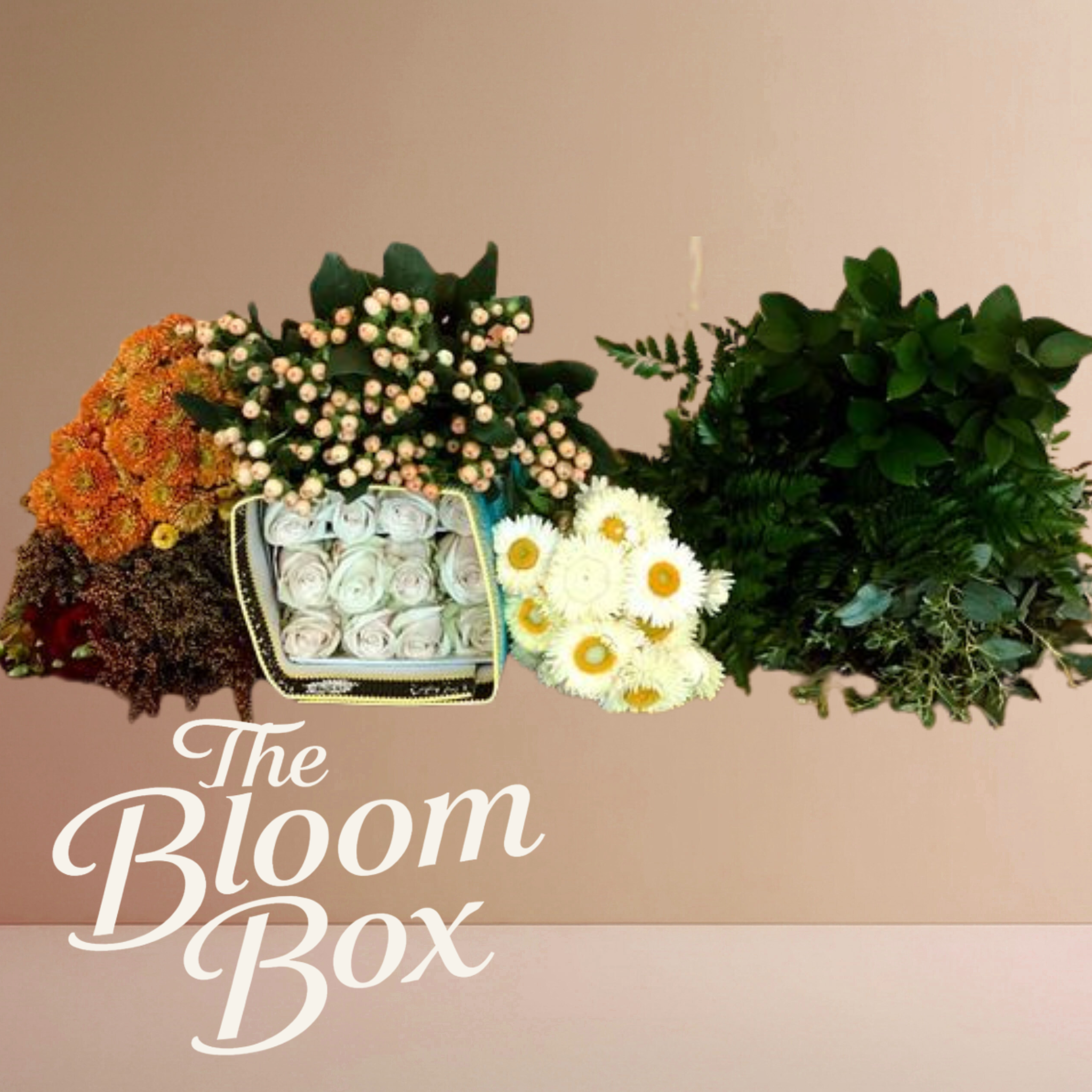 The Bloom Box – Love Child