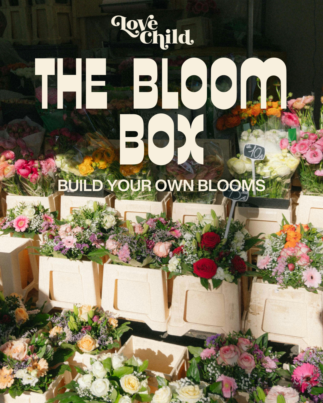 The Bloom Box