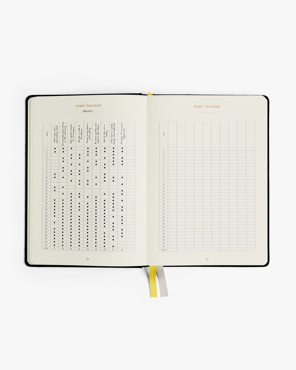 Productivity Planner: Beige