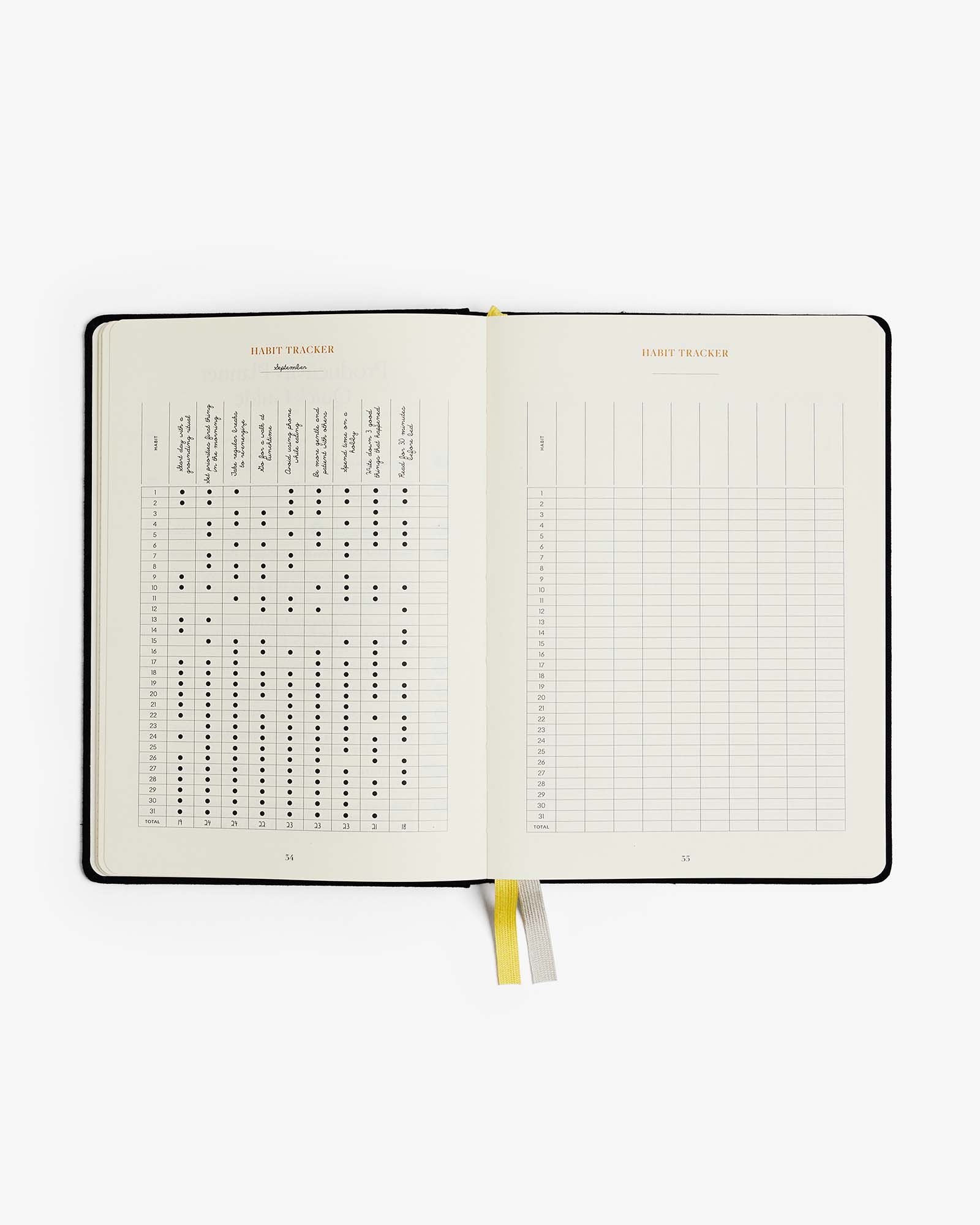 Productivity Planner: Beige