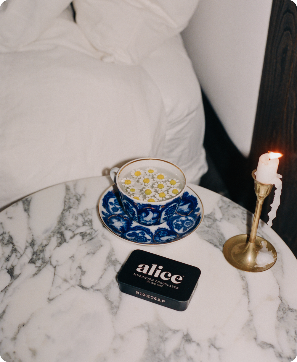 Nightcap — Alice mushroom chocolates for deep sleep