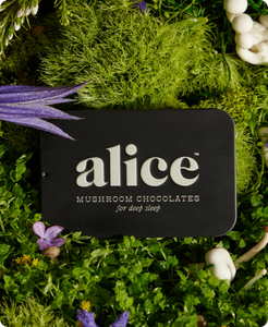 Nightcap — Alice mushroom chocolates for deep sleep