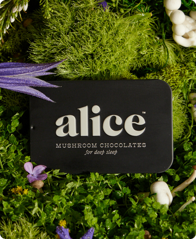 Nightcap — Alice mushroom chocolates for deep sleep