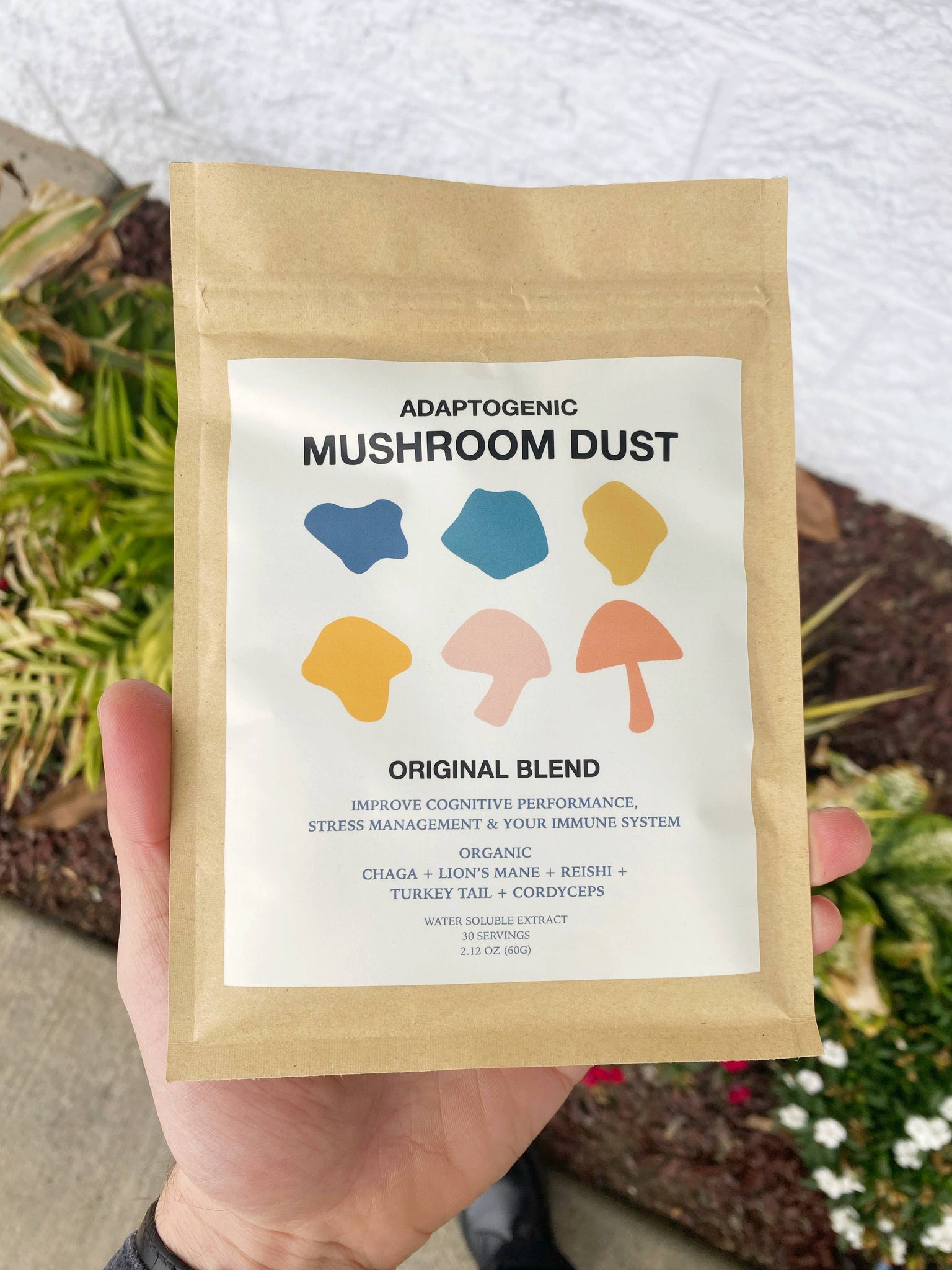 Adaptogenic Mushroom Dust - 6 Packs