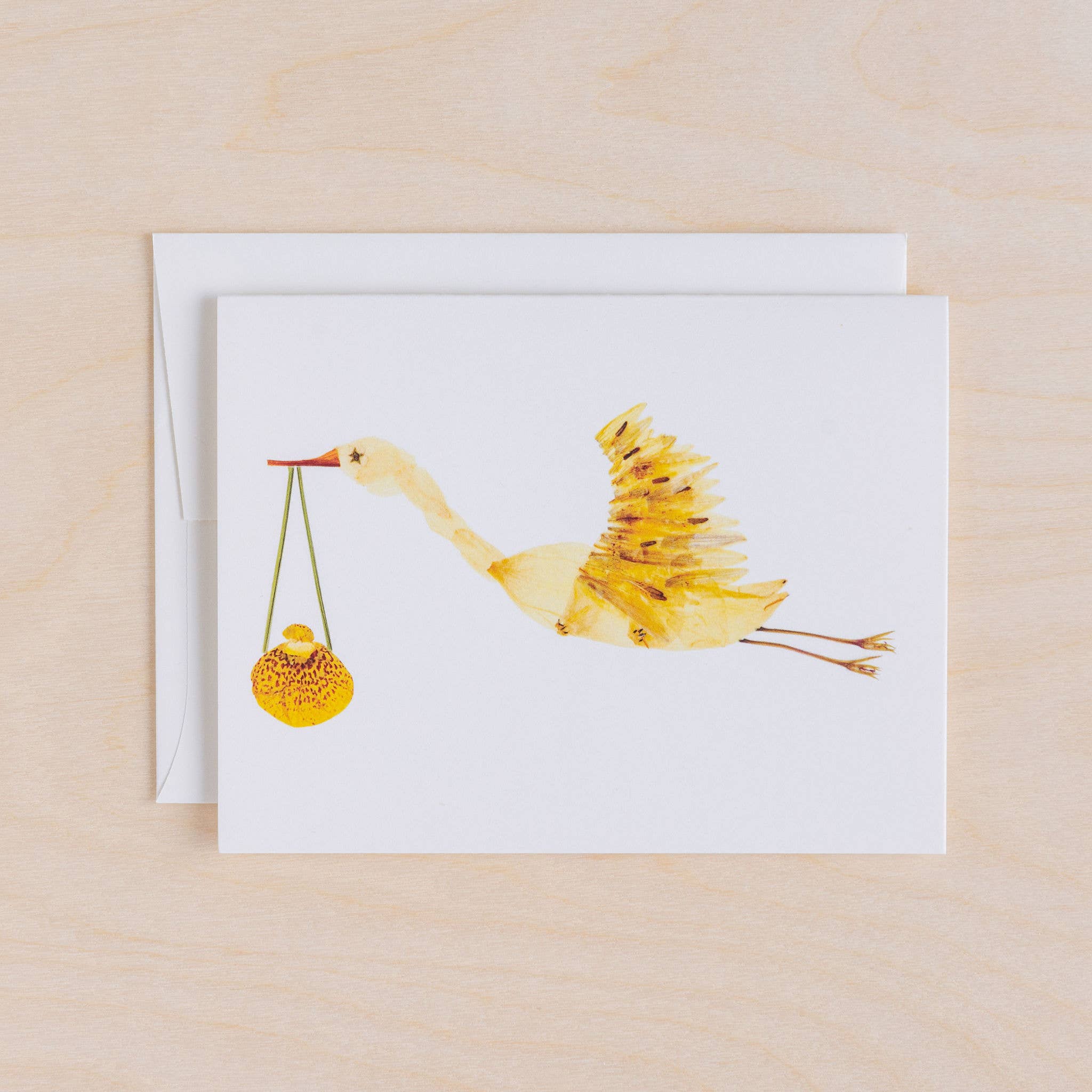 Stork