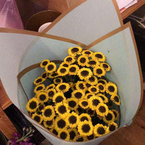 Mini sunflowers